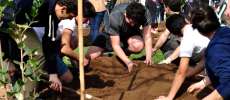 Más de 400 personas participan en reforestación de campus San Joaquín